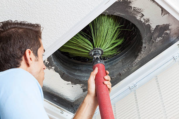 Best Local Air Duct Cleaning Services  in Hauula, HI